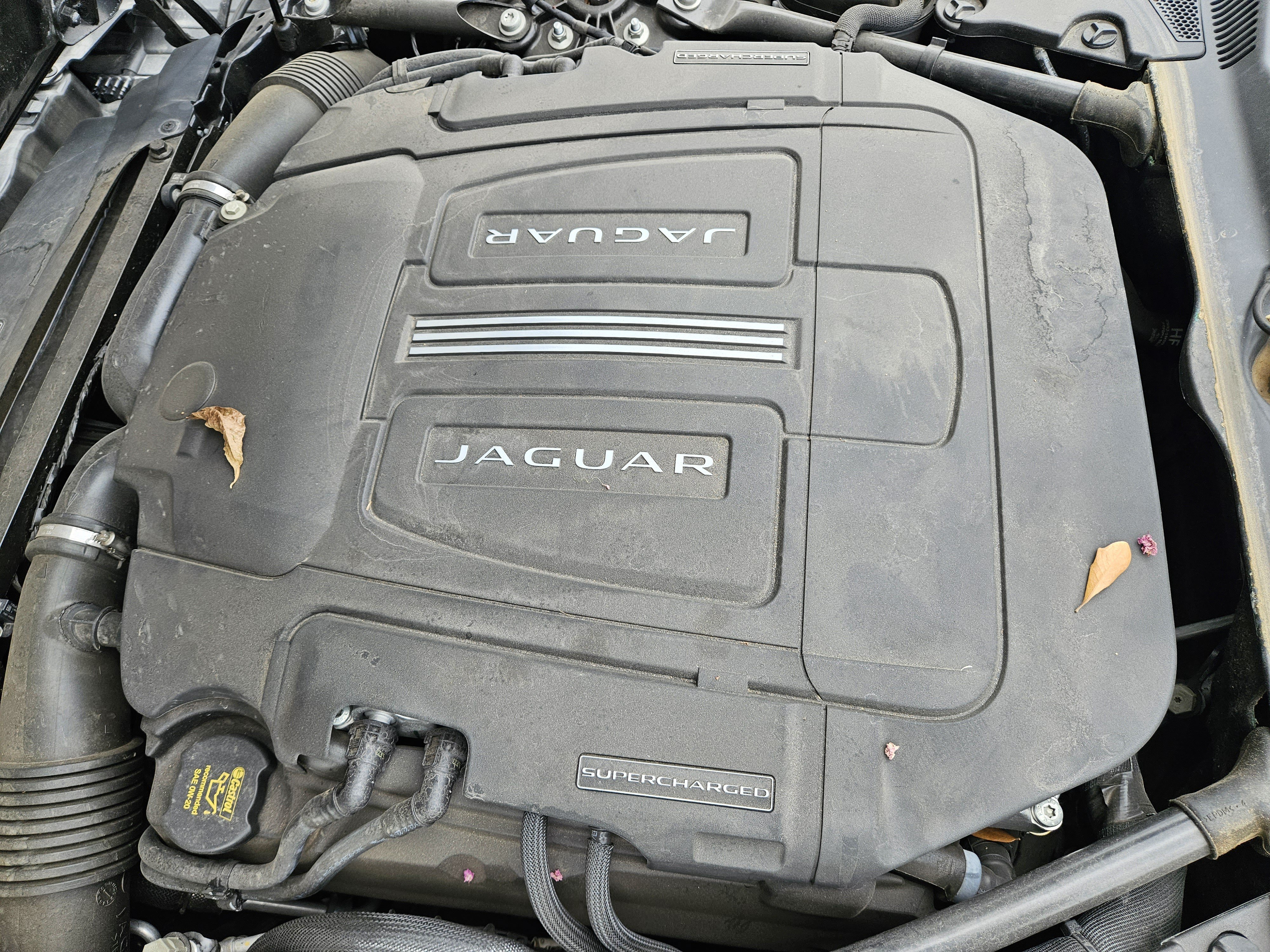 Used 2024 Jaguar F-TYPE R-Dynamic RWD image 31