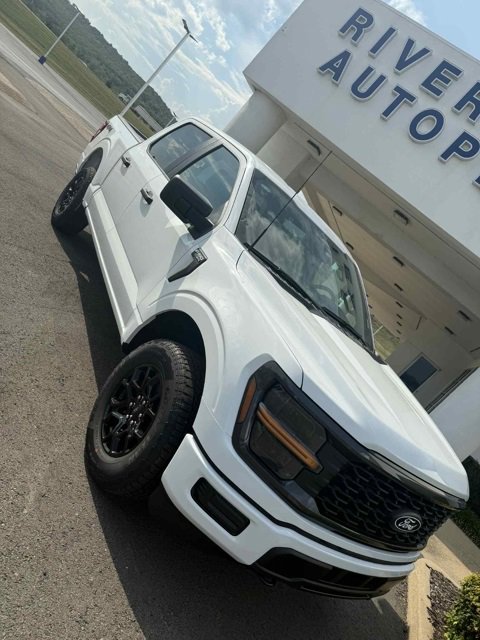 New 2025 Ford F150 STX image 2