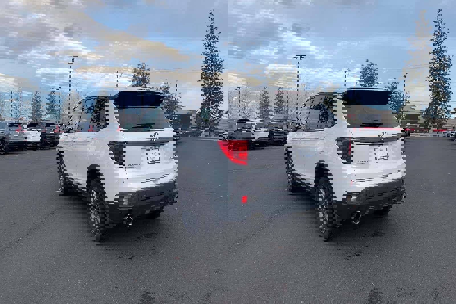 Used 2023 Honda Passport EX-L image 6