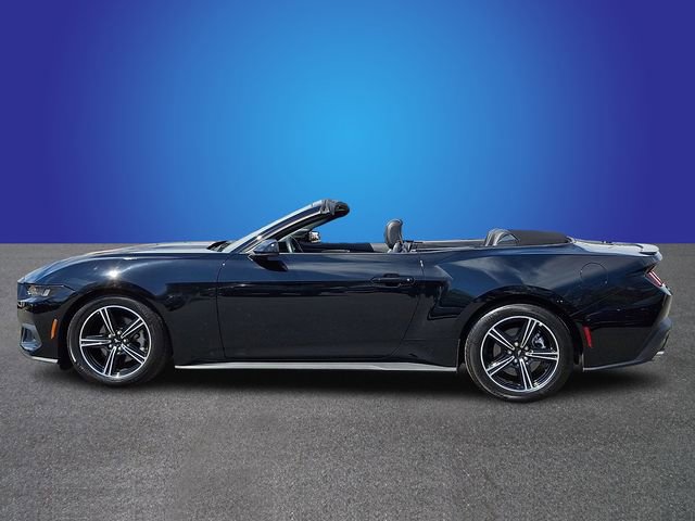 Used 2025 Ford Mustang Premium image 7