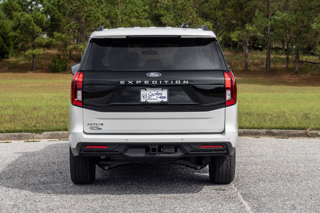 New 2025 Ford Expedition Active image 5