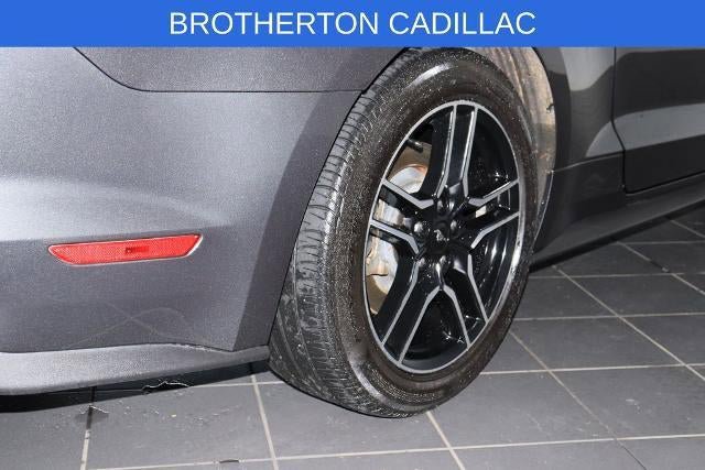 Used 2019 Ford Mustang GT Premium RWD image 14