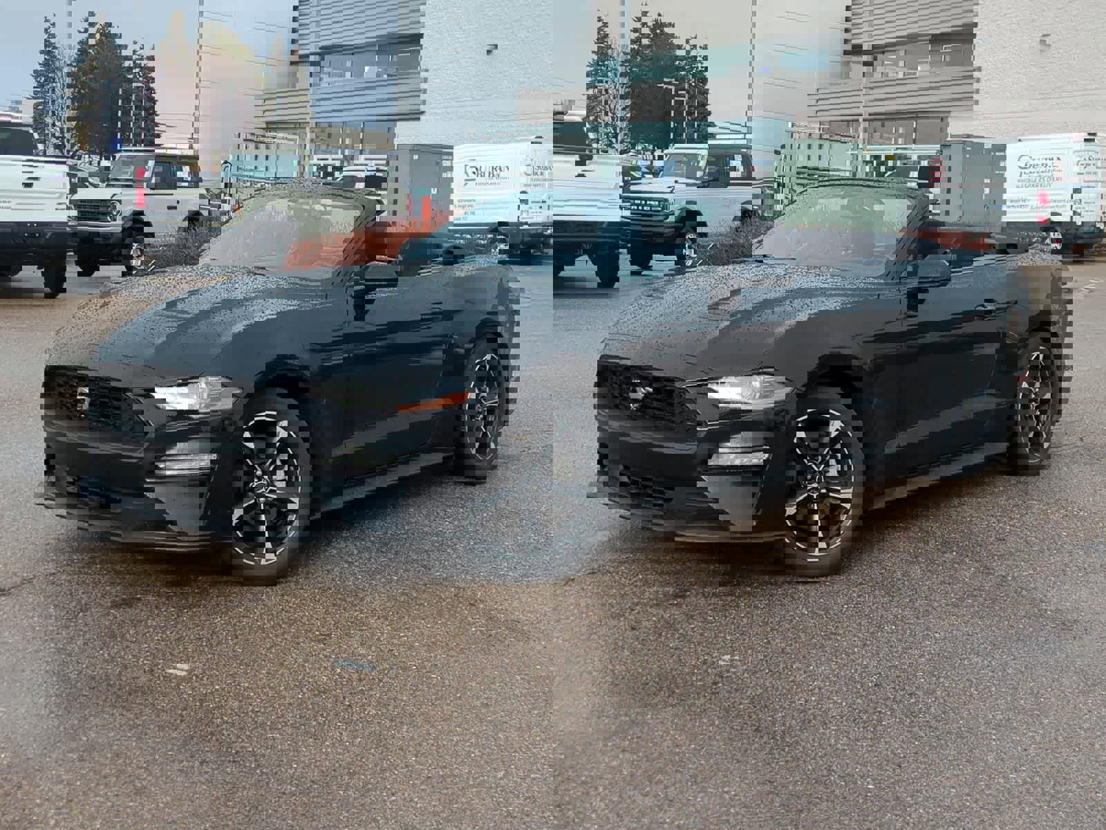 Used 2018 Ford Mustang EcoBoost w/ Equipment Group 101A