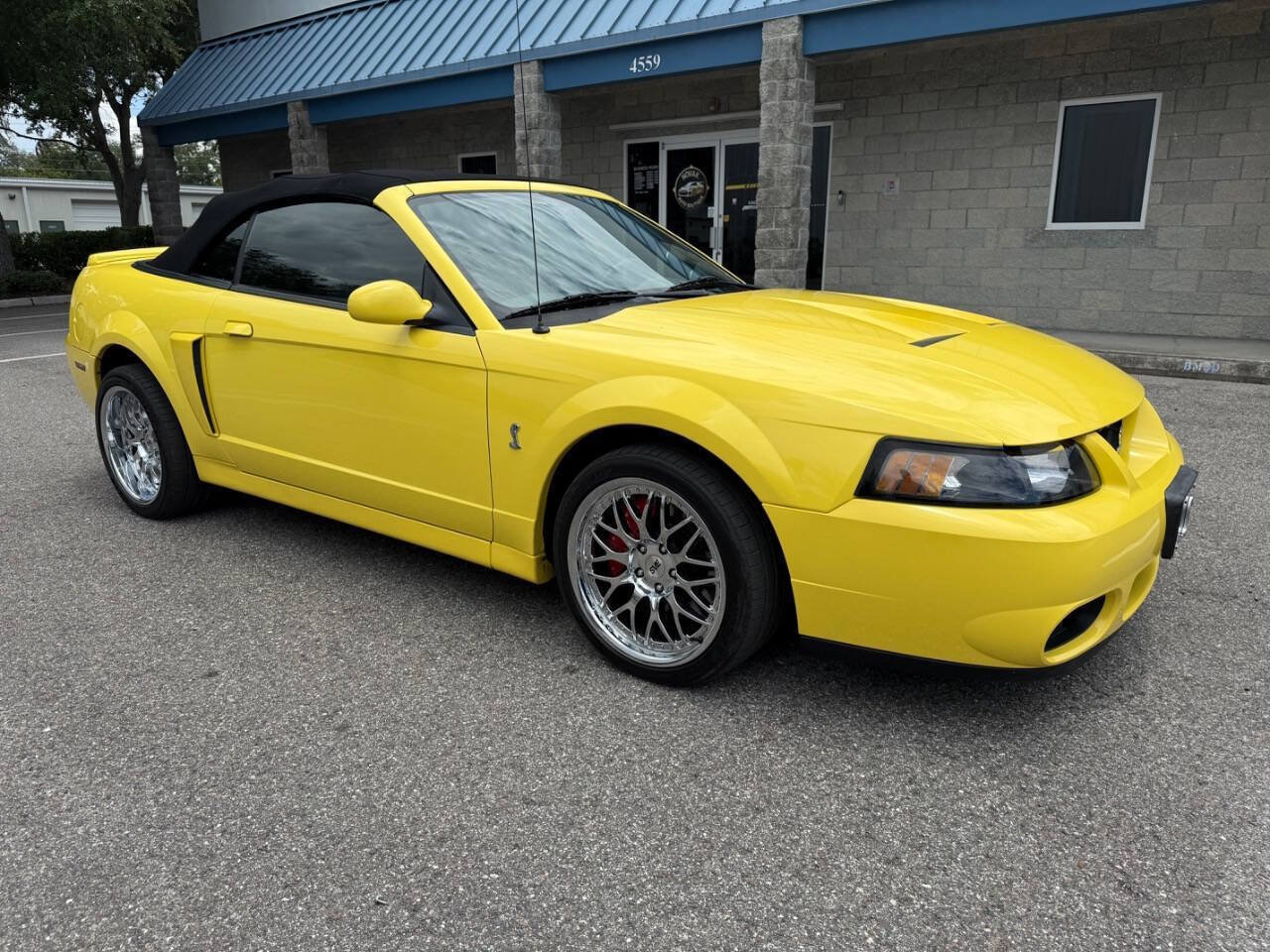Used 2003 Ford Mustang Cobra RWD image 10