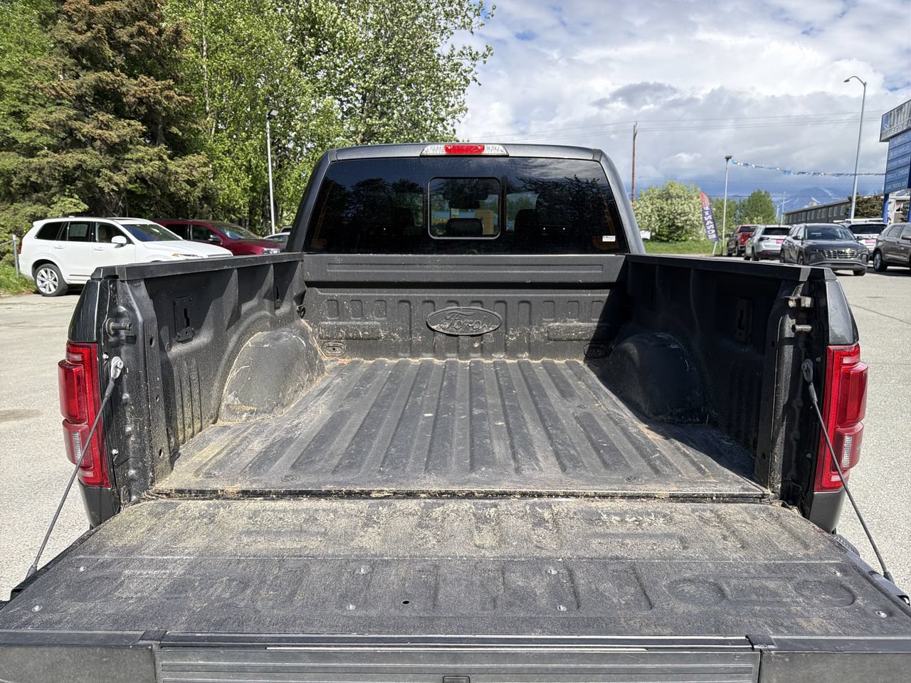 Used 2016 Ford F150 Platinum w/ Equipment Group 701A Luxury AWD/4WD image 23