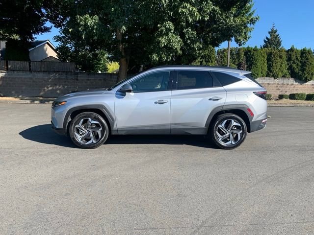 Certified 2024 Hyundai Tucson Limited image 2