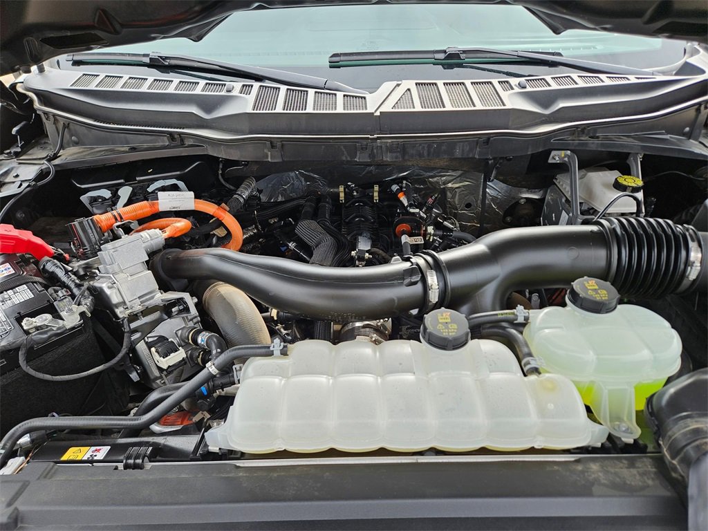 Used 2025 Ford F150 XLT w/ Equipment Group 301A Standard image 23