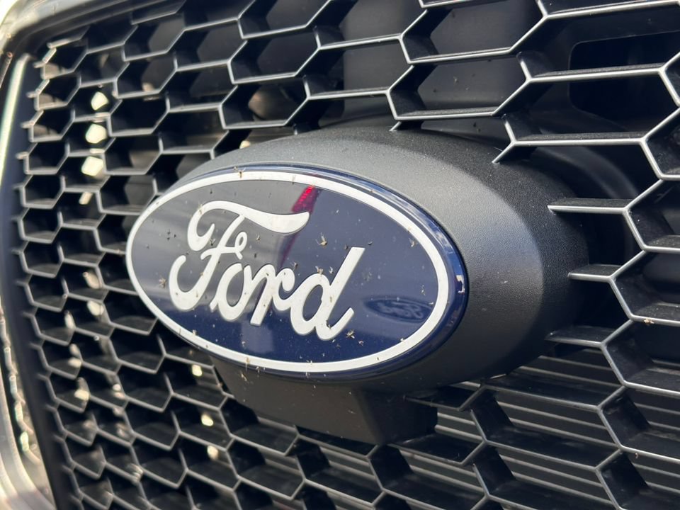 New 2026 Ford Transit 150 Low Roof w/ Load Area Protection Package RWD image 14