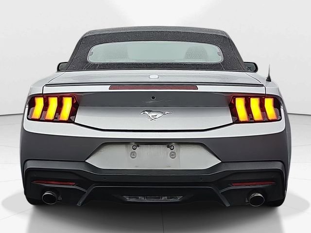 Used 2024 Ford Mustang Premium image 4