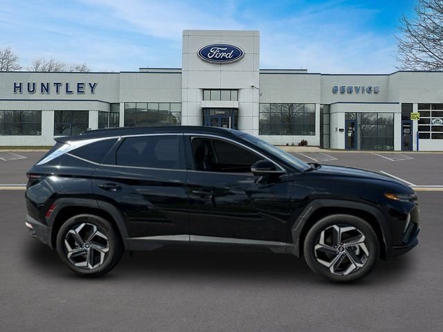 Used 2024 Hyundai Tucson Limited AWD/4WD image 5