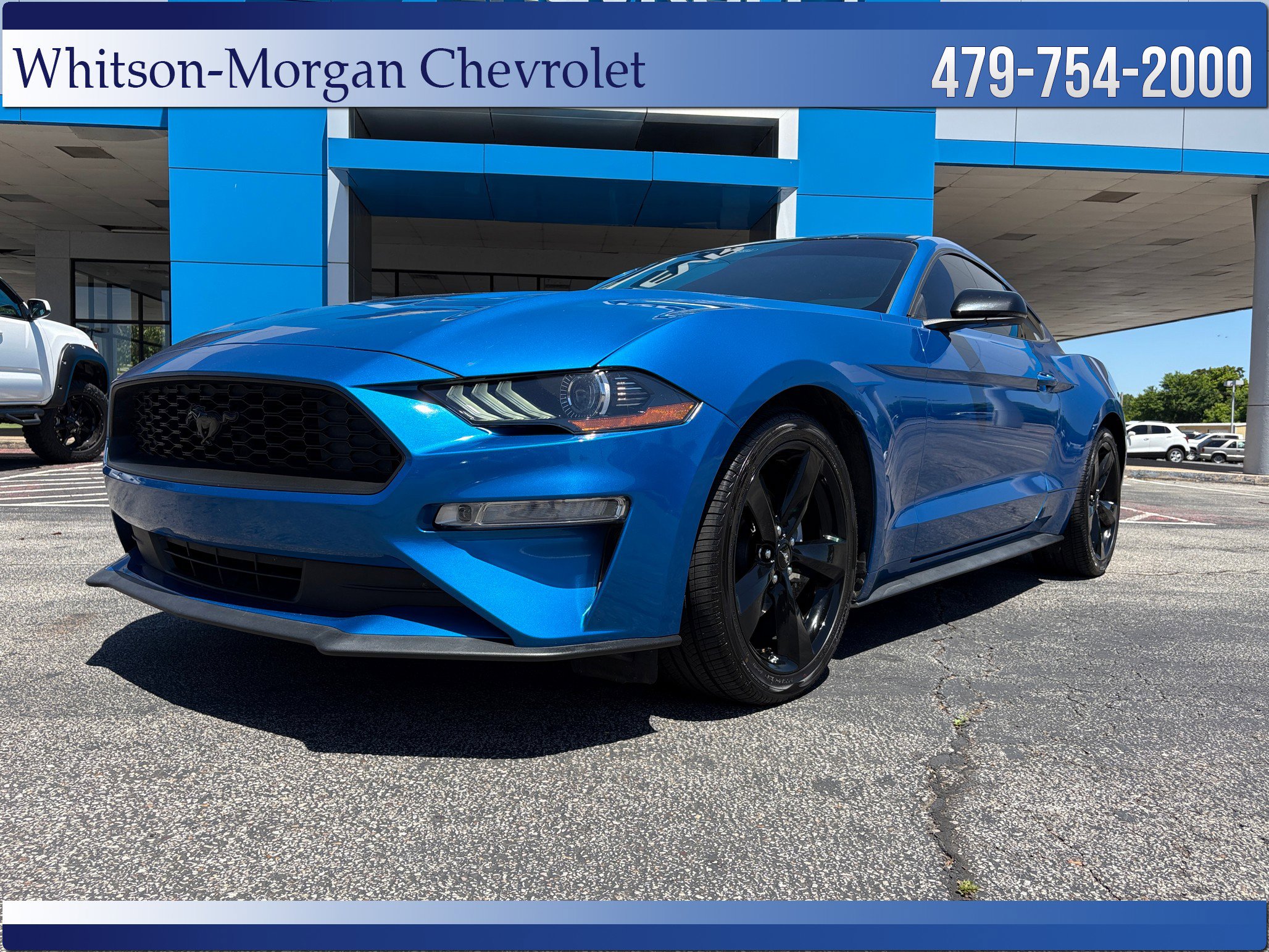 Used 2021 Ford Mustang Premium w/ Equipment Group 201A RWD image 1