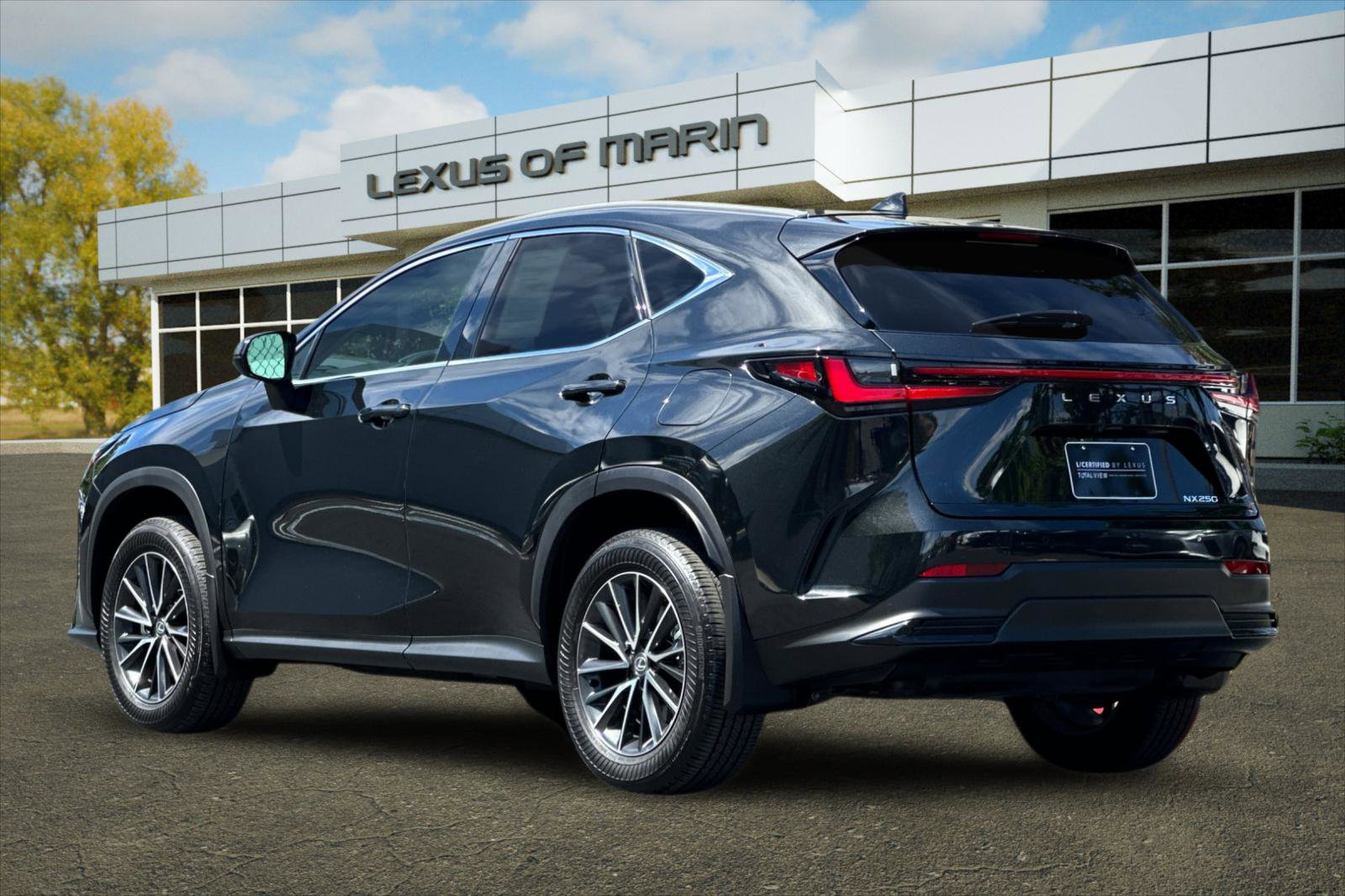 Certified 2024 Lexus NX 250 FWD w/ Premium Package image 3