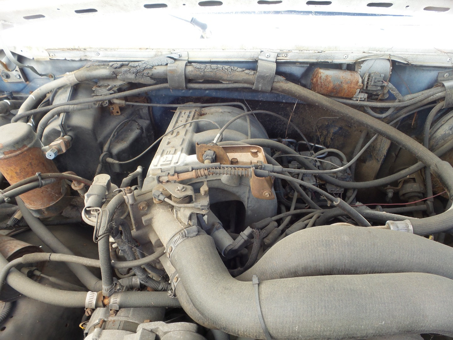 Used 1990 Ford Bronco AWD/4WD image 5