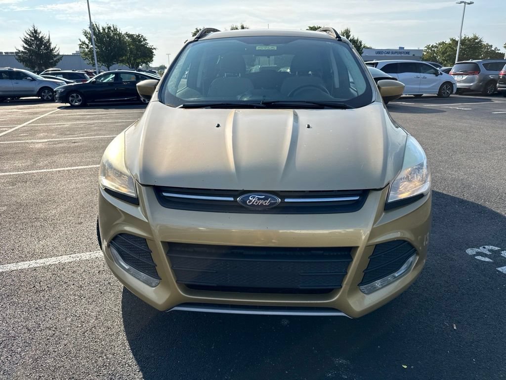 Used 2014 Ford Escape SE w/ Equipment Group 201A FWD image 2