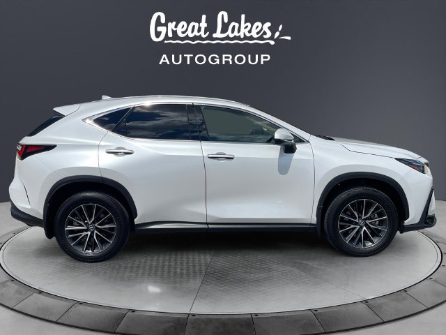 Used 2024 Lexus NX 350h AWD image 6