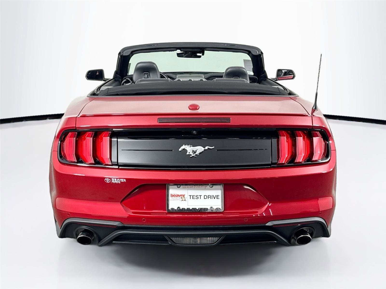 Used 2022 Ford Mustang Premium w/ Equipment Group 201A image 16