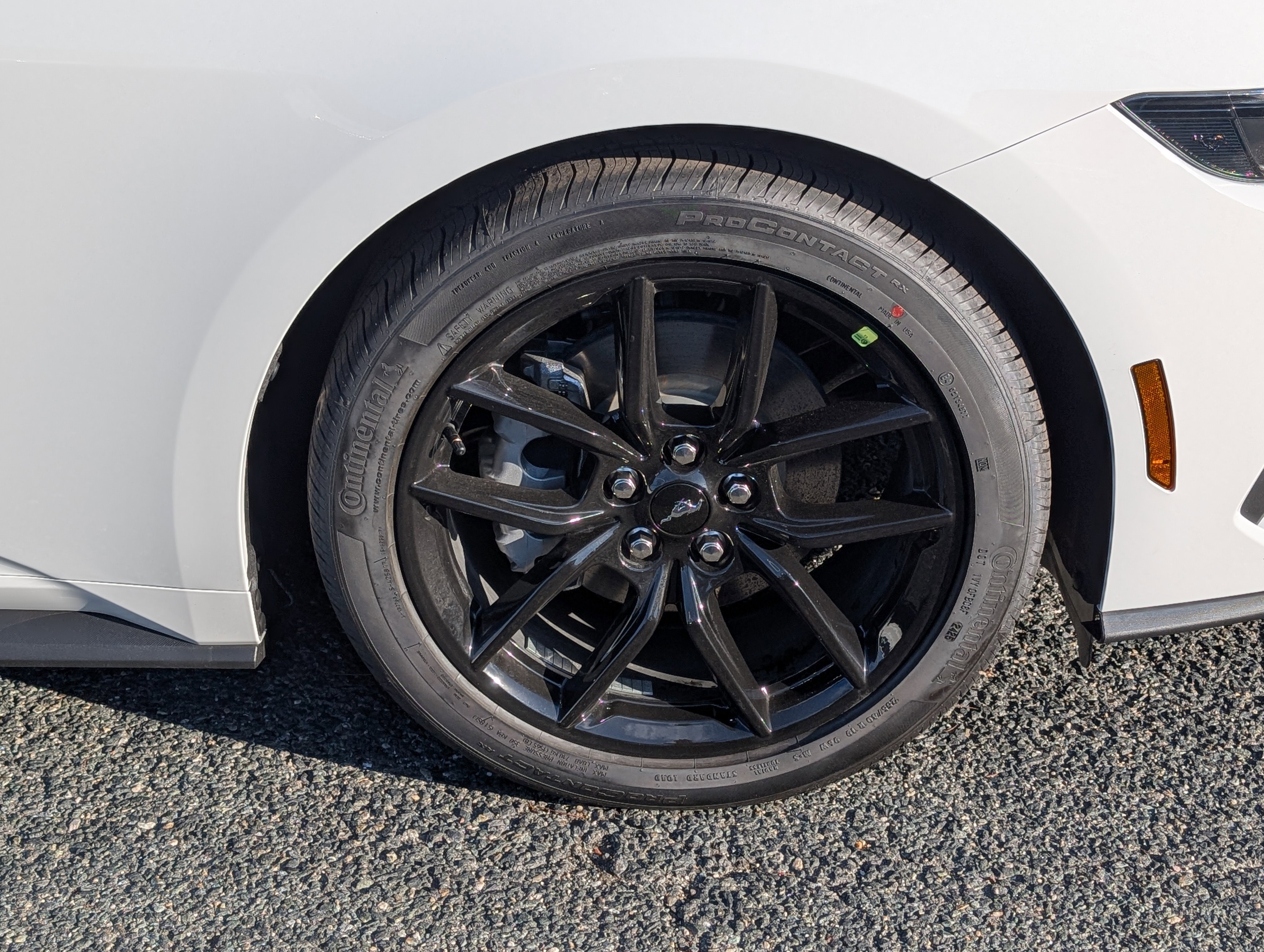 New 2026 Ford Mustang Coupe w/ Mustang Nite Pony Package image 5