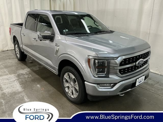 Used 2023 Ford F150 Platinum w/ Equipment Group 701A High