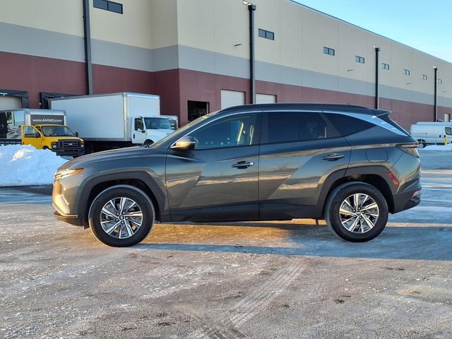 Used 2023 Hyundai Tucson Blue image 2