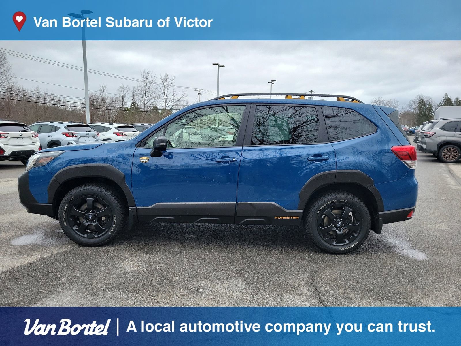 Certified 2023 Subaru Forester Wilderness image 2