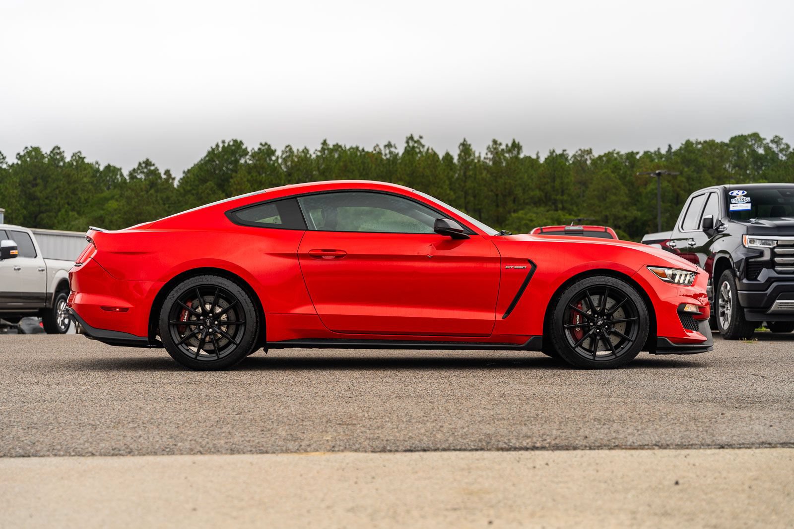 Used 2016 Ford Mustang Shelby GT350 w/ Technology Package RWD image 8