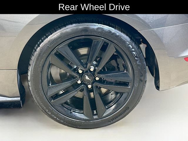 Used 2016 Ford Mustang Coupe w/ Ecoboost Performance Package RWD image 6
