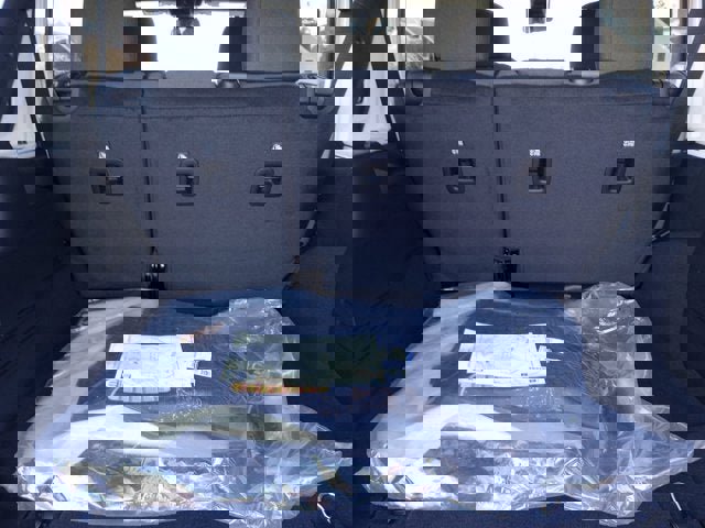 New 2025 Jeep Wrangler Sport S image 8