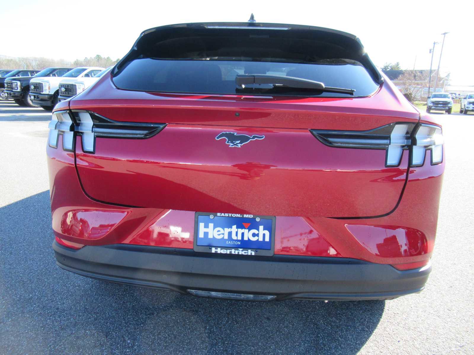 New 2024 Ford Mustang Mach-E Select w/ Comfort Package Lite image 6