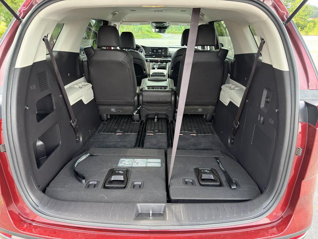 Used 2024 Kia Carnival LX FWD image 29