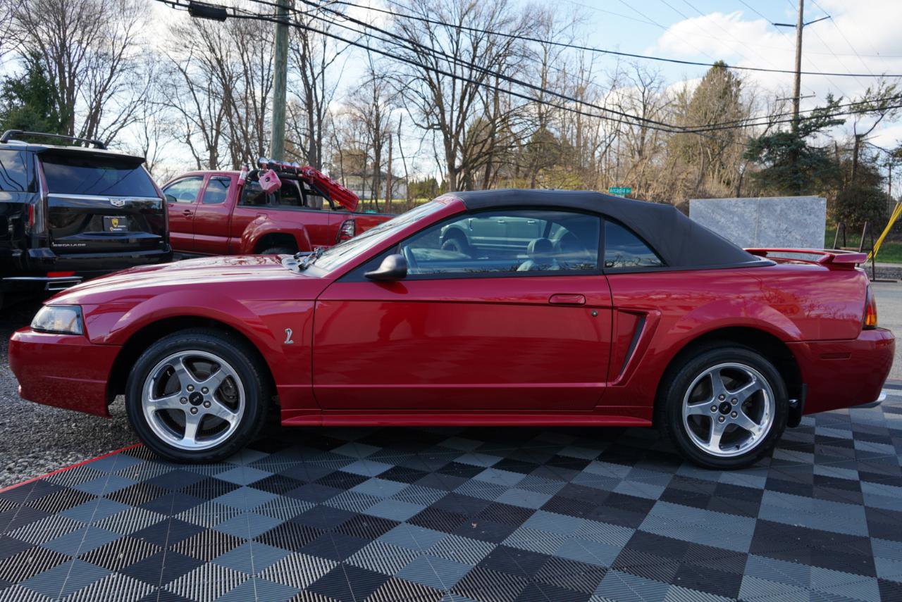 Used 2001 Ford Mustang Cobra image 87