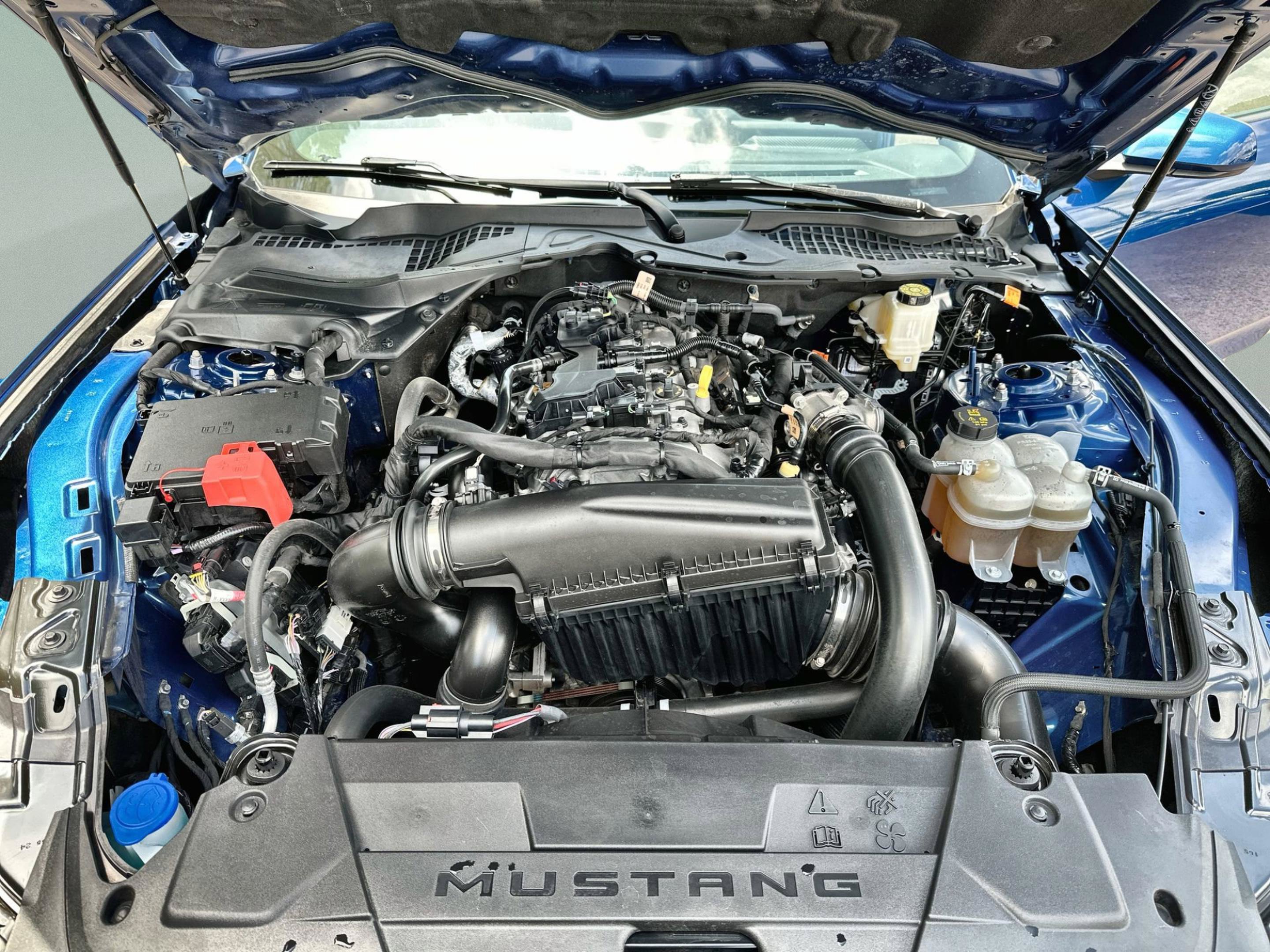 Used 2024 Ford Mustang Coupe RWD image 16