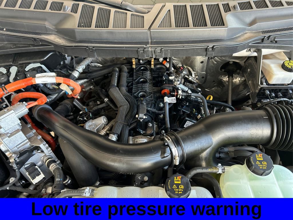 Used 2024 Ford F150 XLT w/ Equipment Group 302A MID image 13