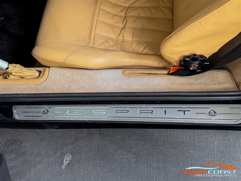 Used 2001 Lotus Esprit RWD image 20