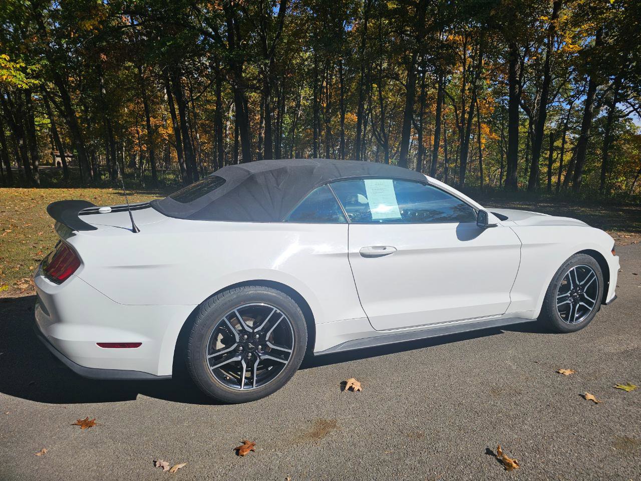 Used 2018 Ford Mustang Premium RWD image 5
