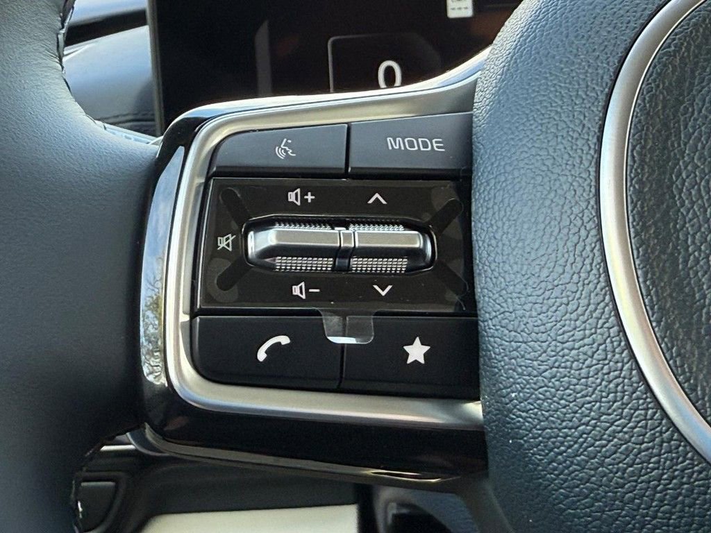 New 2026 Kia Carnival SX Prestige image 12