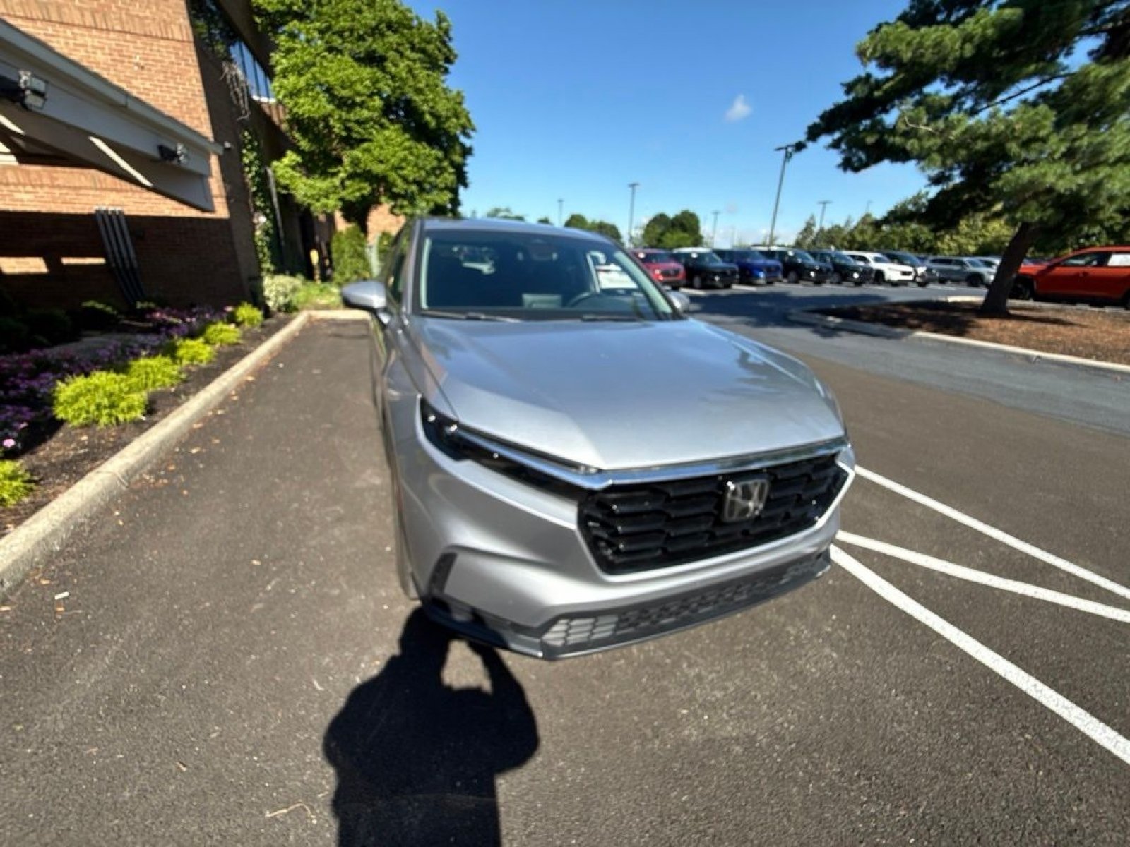 Used 2023 Honda CR-V EX image 5