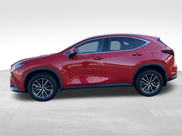 Used 2024 Lexus NX 350 AWD w/ Cold Area Package image 2
