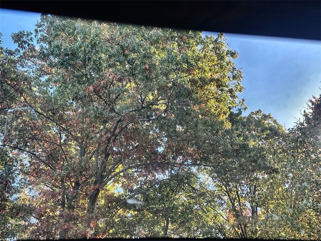 New 2026 Honda CR-V Sport-L image 16