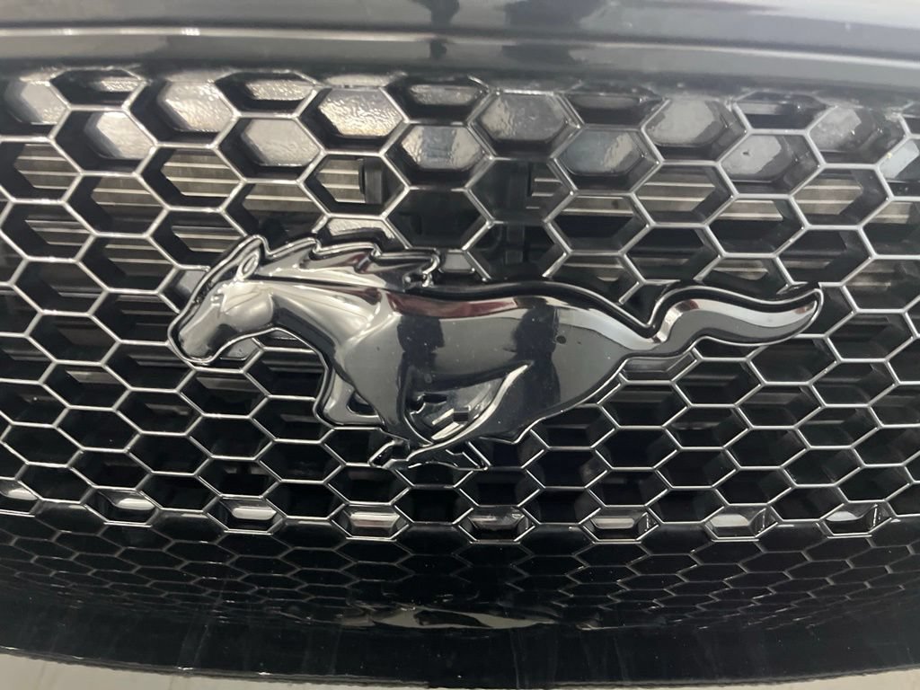 Used 2019 Ford Mustang GT w/ Equipment Group 301A RWD image 29