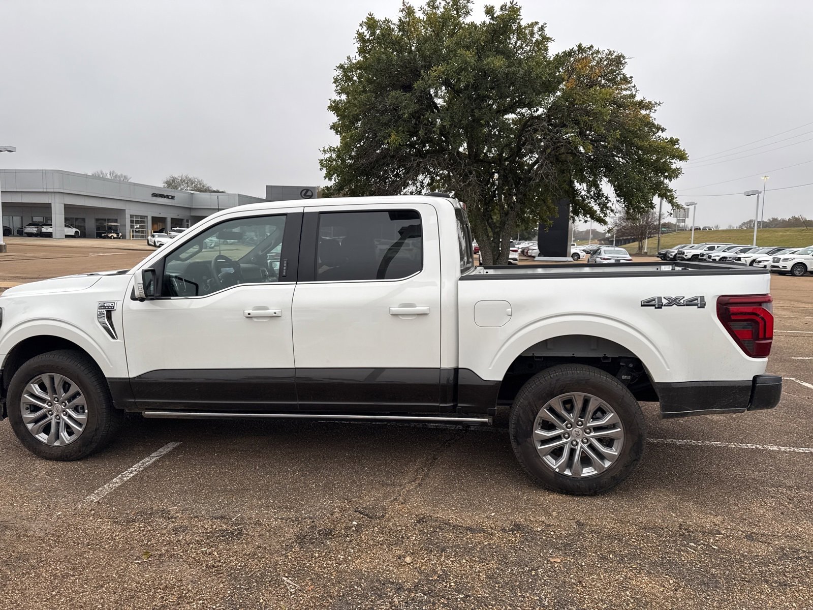Used 2024 Ford F150 King Ranch image 10