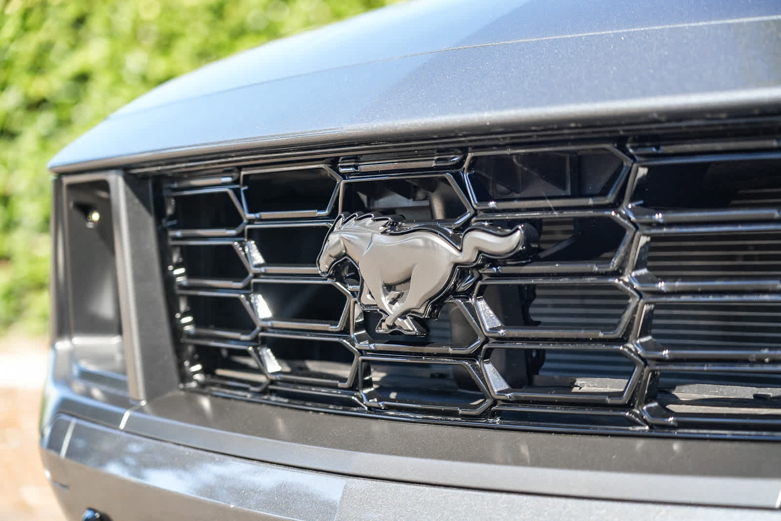 Used 2024 Ford Mustang Dark Horse RWD image 3