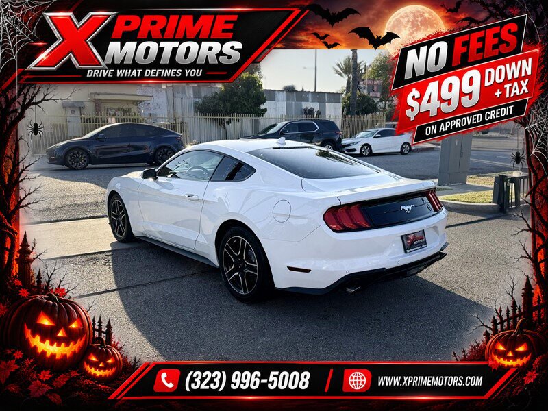 Used 2021 Ford Mustang Coupe w/ Equipment Group 101A RWD image 5