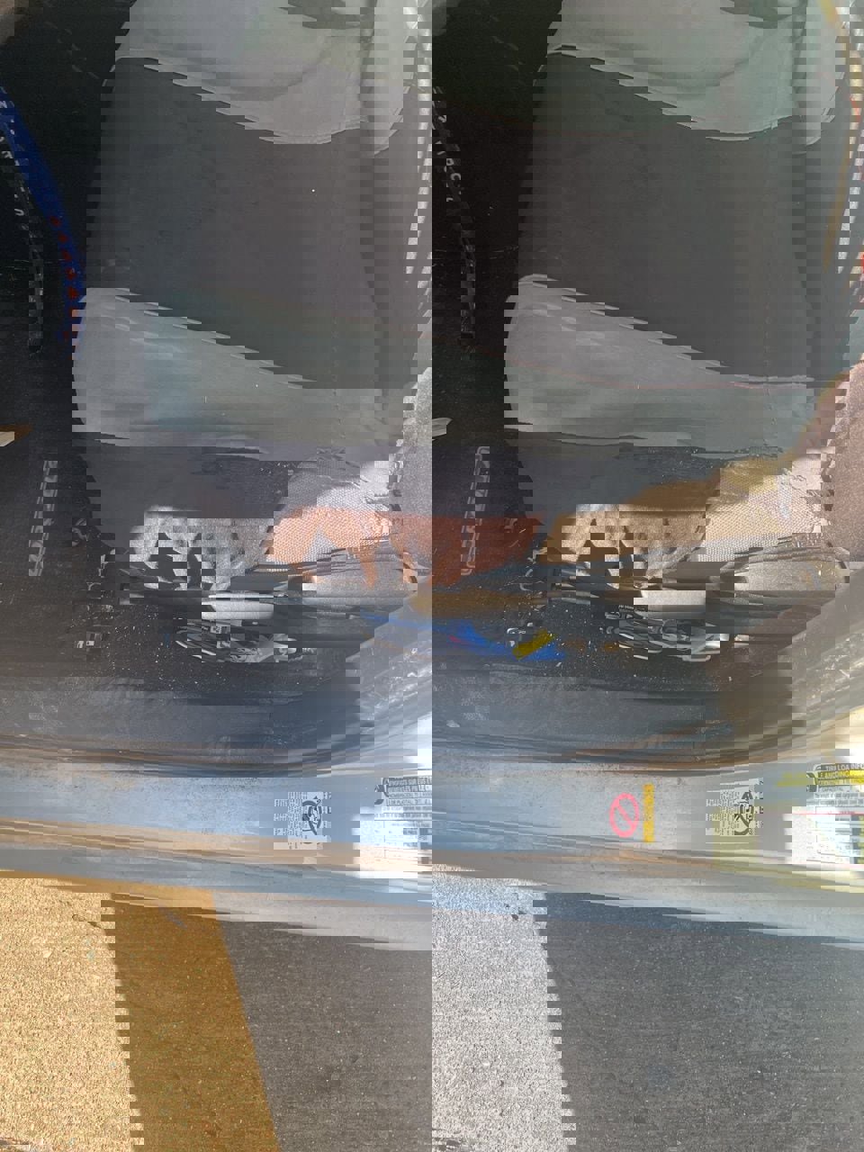 Used 2017 Toyota Corolla LE FWD image 8