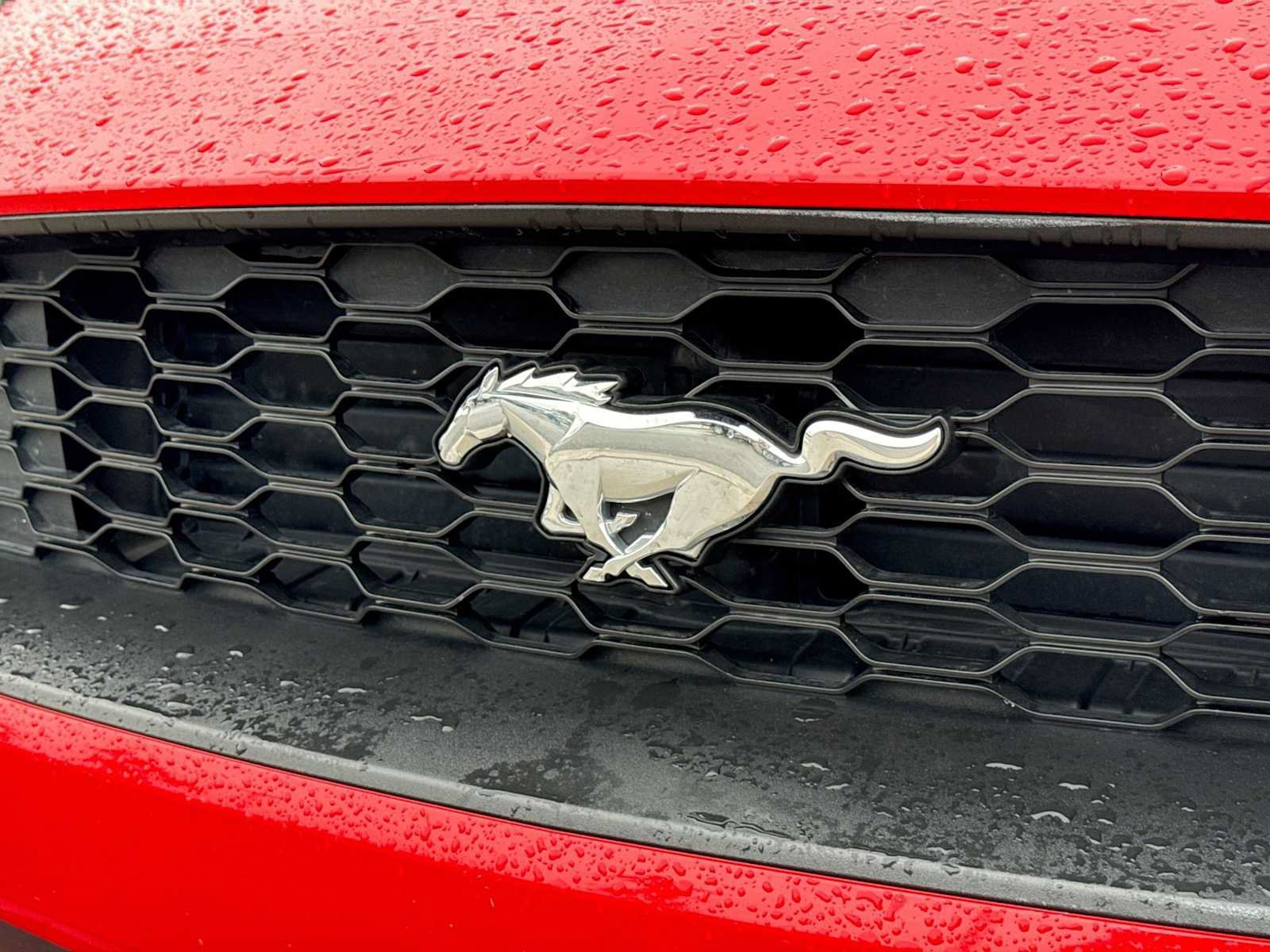 Certified 2019 Ford Mustang Premium w/ Equipment Group 201A RWD image 11