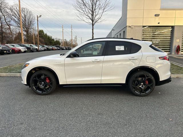 New 2025 Alfa Romeo Stelvio Sprint image 5