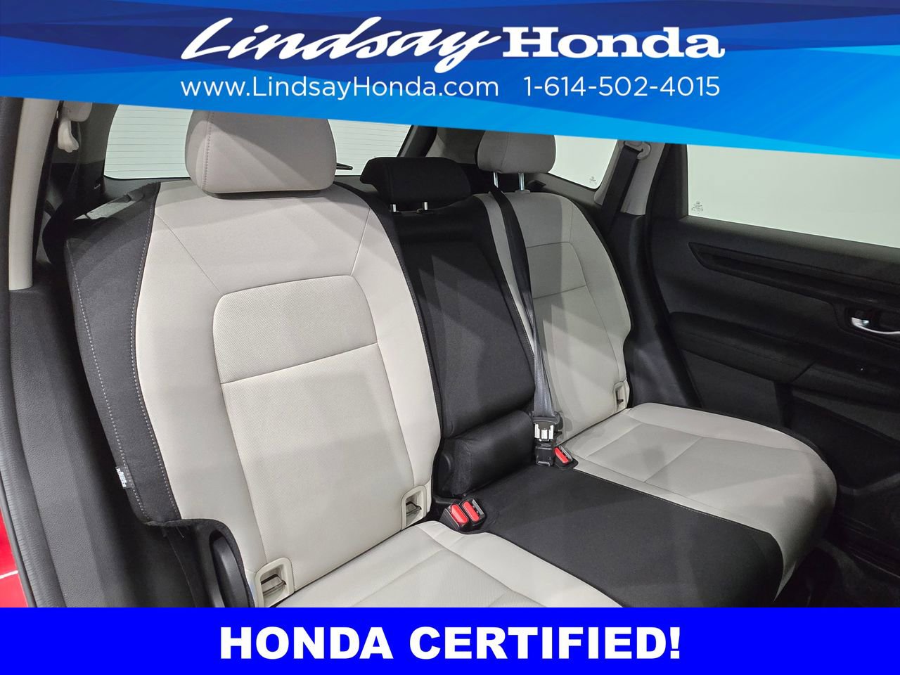 Certified 2024 Honda CR-V EX image 9