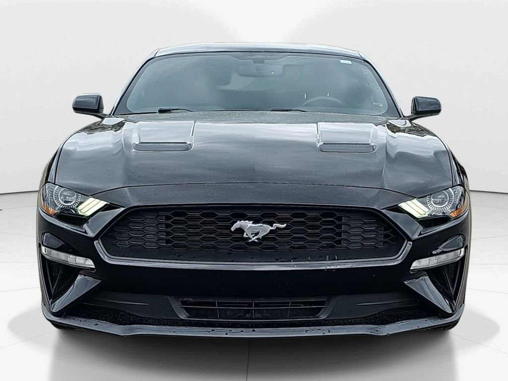 Used 2019 Ford Mustang EcoBoost image 11