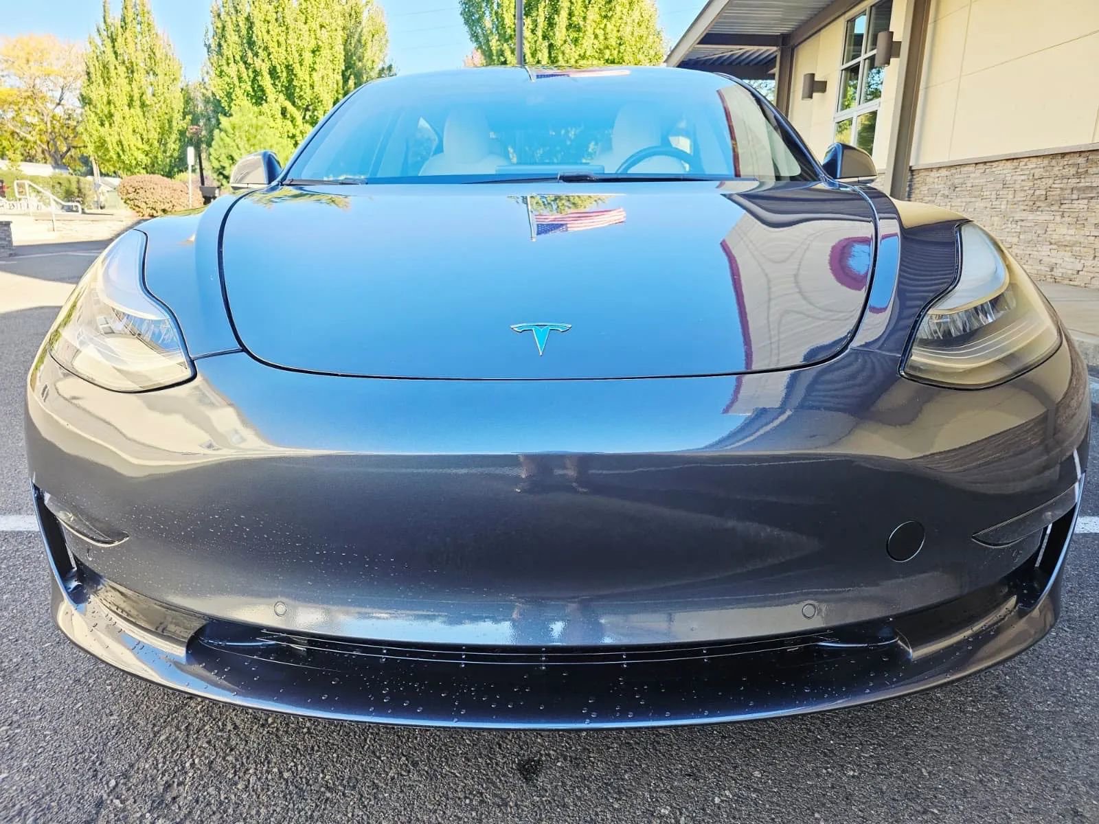 Used 2019 Tesla Model 3 Standard Range Plus image 8