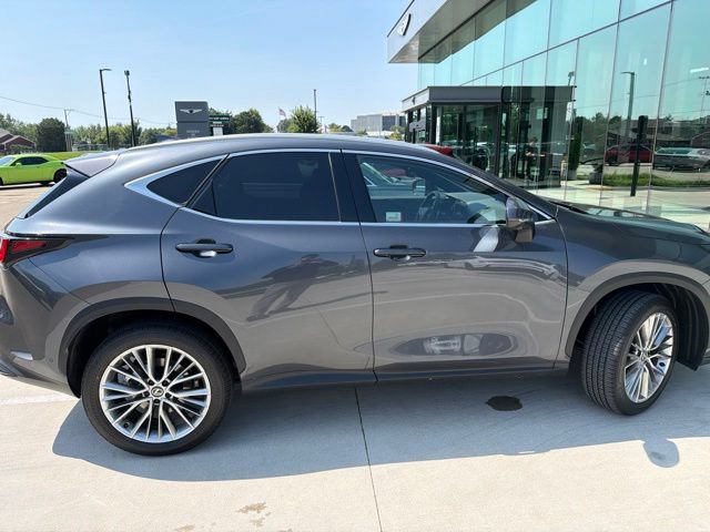 Used 2026 Lexus NX 350 AWD w/ Accessory Package (2T) image 6