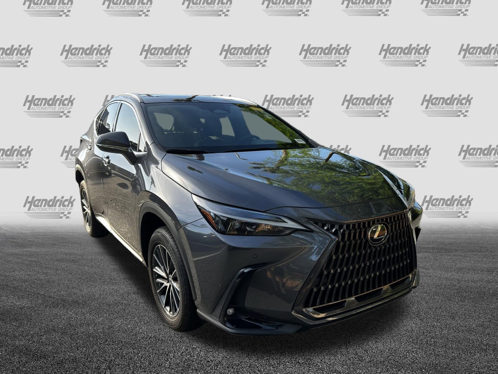 Certified 2024 Lexus NX 250 FWD image 2